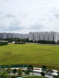 Treasure Crest (D19), Condominium #603025071